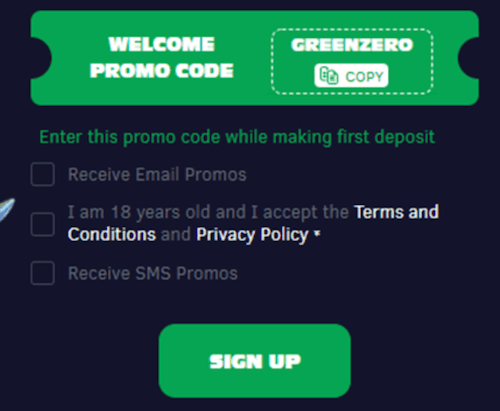 how to fill GreenSpin.bet Casino promo code field